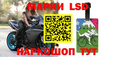 гидропоника Краснознаменск