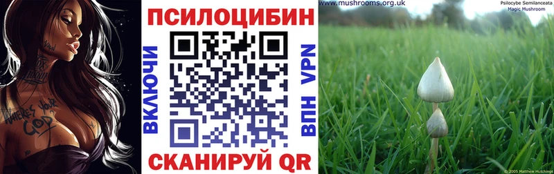 Псилоцибиновые грибы прущие грибы  Кохма 