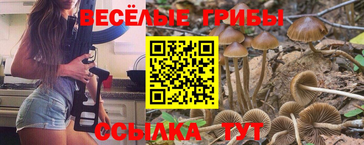 Галлюциногенные грибы Psilocybe  Вход с VPN  хочу   Галлюциногенные грибы мухоморы  Кохма 
